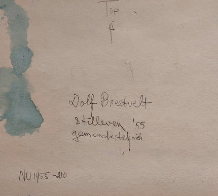 Dolf Breetvelt