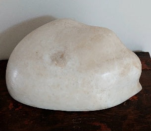 Ton Gouka